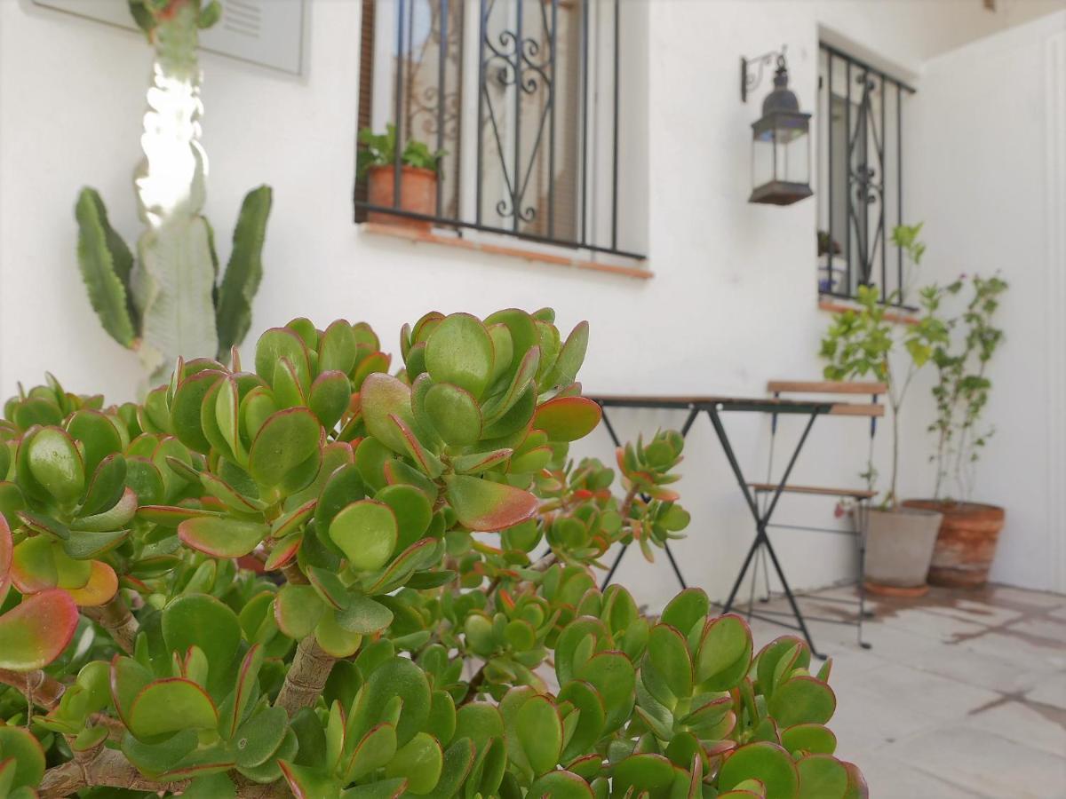Amplio Y Con Encanto En El Centro Historico Tarifa Dış mekan fotoğraf
